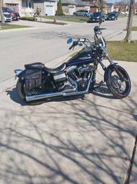 2009 Harley-Davidson 