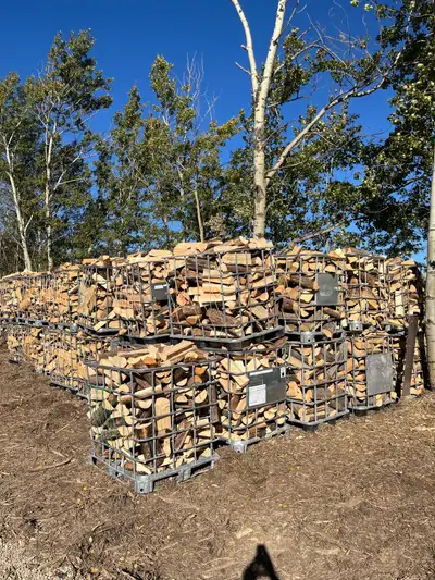 Clean, dry and ready to burn firewood for sale. Pine 1/4 cord 90$, full cords 320$ Tamarack 1/4 cord...