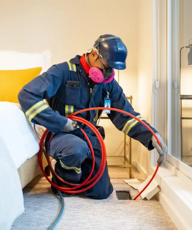 Save $50 for your Furnace and dryer vent cleaning combo62866660568963123