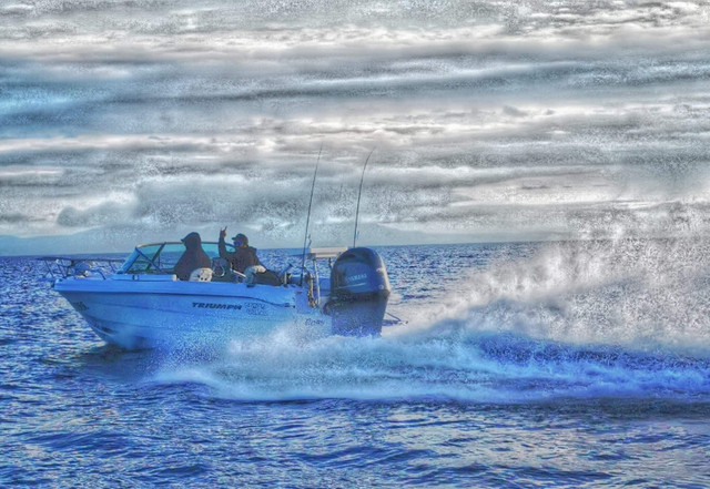2008 Triumph 195 DC with 2008 115 Yamaha 4 stroke engine in Powerboats & Motorboats in Kingston - Image 4