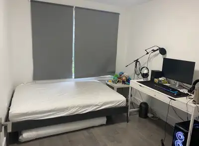 Room Rent Female only - Clayton Park Available from March 2026 Shared bathroom with one person Share...
