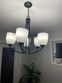 Ceiling lamps for sale! 