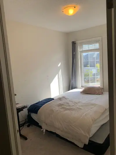 pictures of the unit