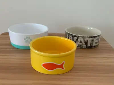 Bols pour animaux | Pet Bowls, View more