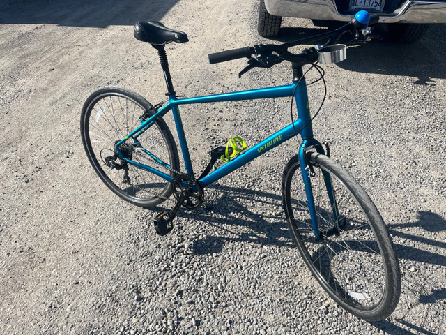 specialized alibi bike