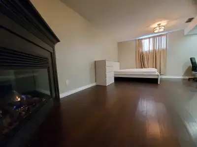 HUGE ROOM FOR RENT IN AMAZING HOUSE IN WHITE OAKS LONDON Queen bed- gigantic room with a fireplace-...