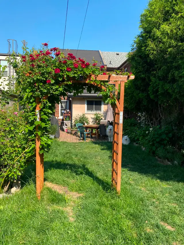 Photo 18