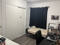 Private room in 2 bed pet friendly apartment for females