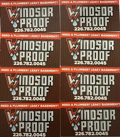 Need A Plumber? Leaky Basement?, View more