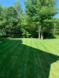 Lawn Cutting No contracts needed  in Other in Oshawa / Durham Region - Image 2