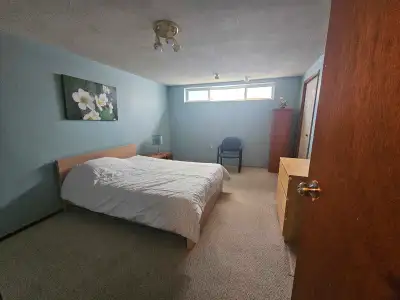 Spacious Room for rent Dalhousie NW U of C