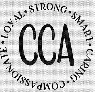 Hey! Iv been a CCA since 2010. Currently need something that is easy on the body. Looking to see if...