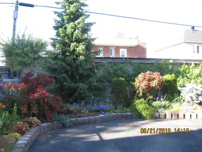 For non smoker! Perfect rooms for short-long term rental. Very good location, not far to the metro s...