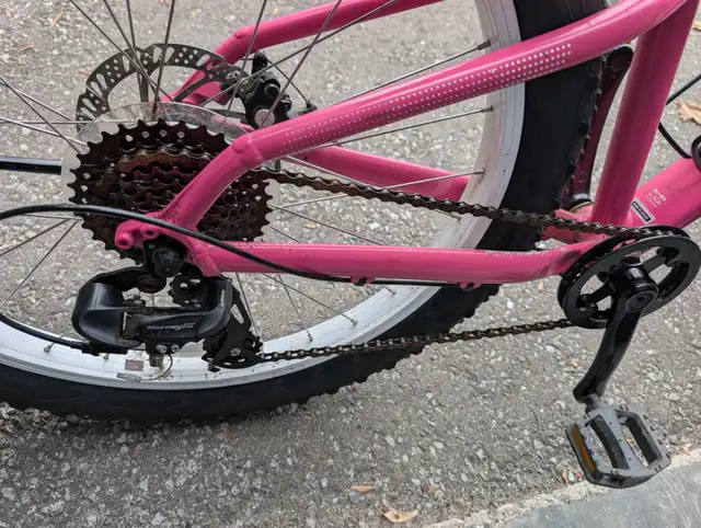 Trek Roscoe 24" Kids Youth Mountain Bike Disc Brakes Girls in Mountain in City of Toronto - Image 7