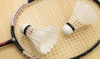 Partenaire de badminton pour jouer en simple