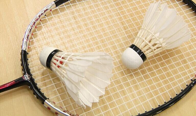 Partenaire de badminton pour jouer en simple dans Amitié et réseautage  à Ville de Québec
