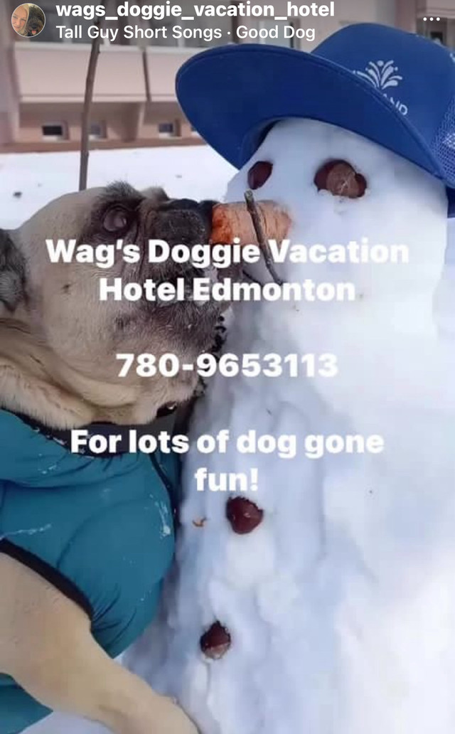 Wag’s Doggie Vacation Hotel $35 Edmonton  in Animal & Pet Services in Edmonton - Image 3