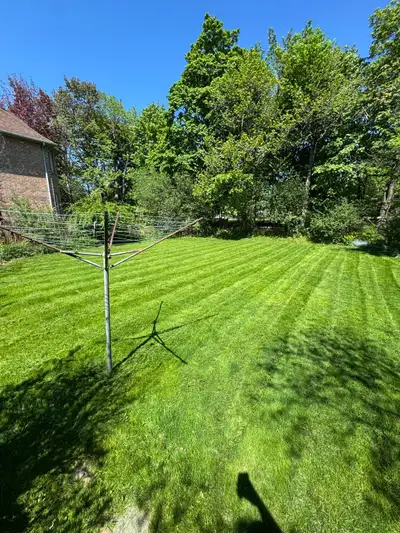 Mowing, Trimming & Edging $49, Lawn Care In Etobicoke & Toronto, View more
