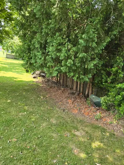 back yard clean up, View more