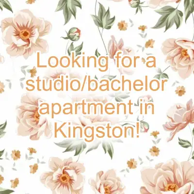 Looking for a small studio/bachelor apartment in Kingston!