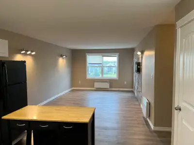 1100 sq ft,Open concept spacious living room/kitchen,kitchen with lots of cupboards and island . Bat...