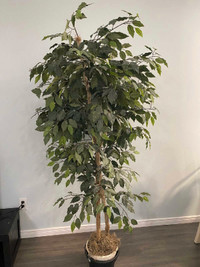 Artificial faux or fake tree plant  