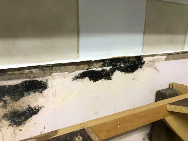 24/ 7 Mold Removal566985241386045445