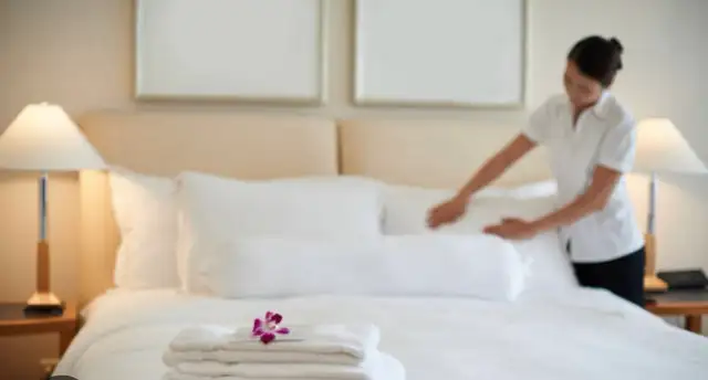 Housekeeper541162282608250884