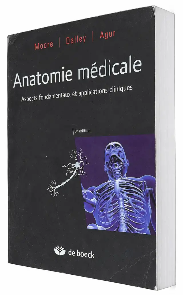Medical Anatomy: Fundamental Aspects and Clinical Applications
