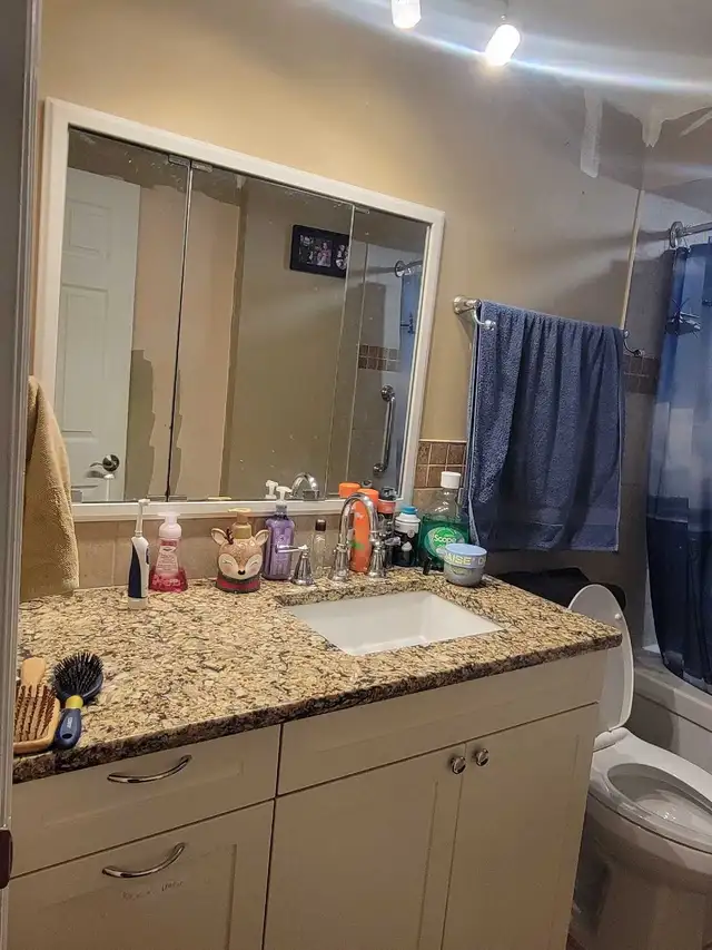 room for rent working females preffered in Short Term Rentals in Ottawa - Image 5