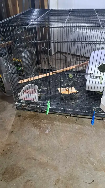breeding cage, View more