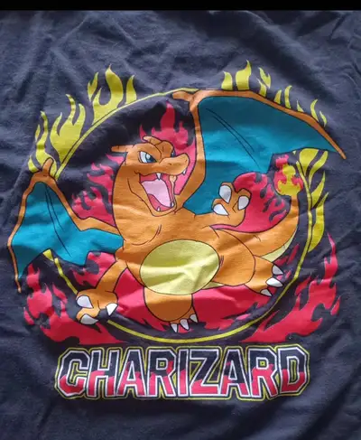 Charizard pokemon adult large tshirt, View more