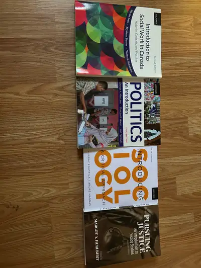 $200 for all 4 Separate Prices: Foundations of Social Work- $100 Politics: An introduction -$100 Int...