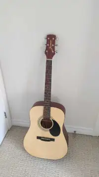 Jasmine Guitar for sale