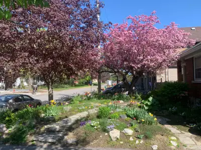 Basement suite room for rent, shared with one other renter. Westboro area convenient to downtown Ott...