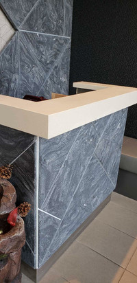 Corian Reception/Guest Counter for sale!