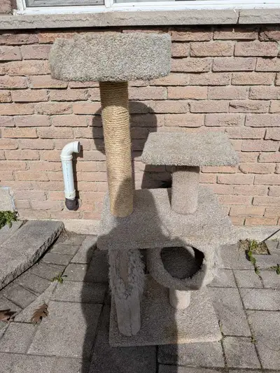 Cat Tree, View more