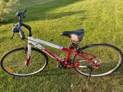 Vélo Miele, View more