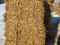 Straw for Sale