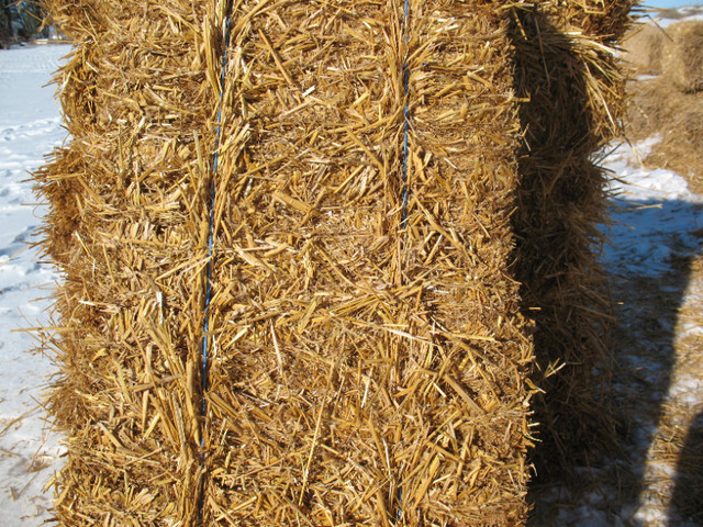 Straw for Sale in Other in Winnipeg