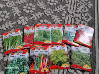 Salad seeds sale