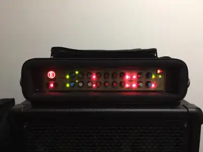 Introducing: *EDEN World Tour WT1205 1200 Watt Bass Amp *Pro Tec Amp Case: * Has a pocket for foot c...