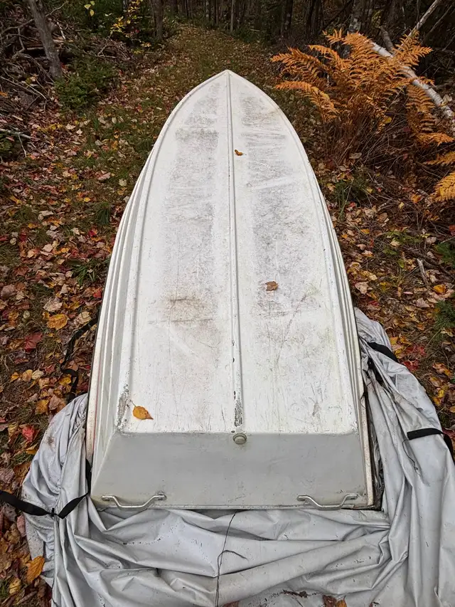 10’ Rowboat in Canoes, Kayaks & Paddles in City of Halifax - Image 5
