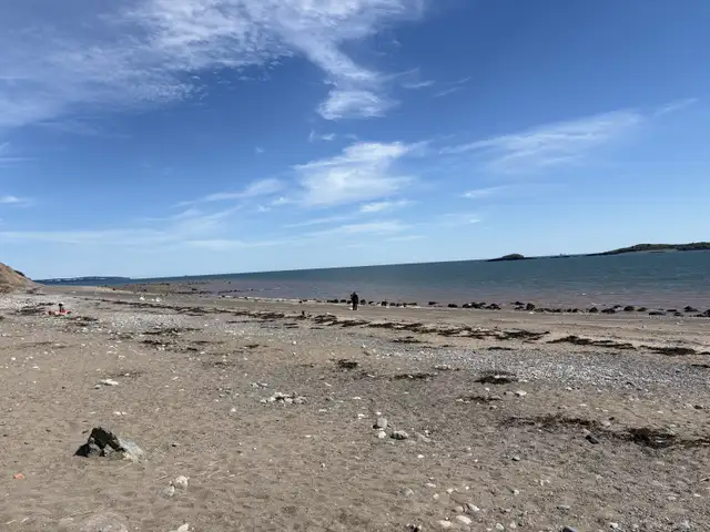 looking for 3 bedroom house in Long Term Rentals in Saint John - Image 2