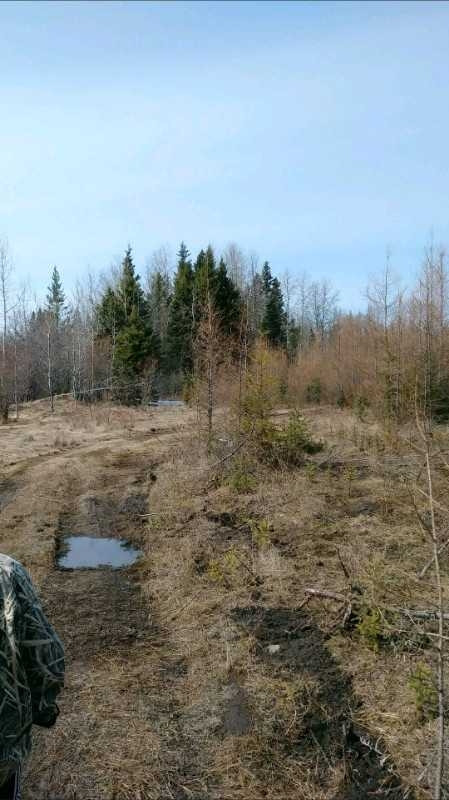 80ac near big river for sale in Land for Sale in Saskatoon