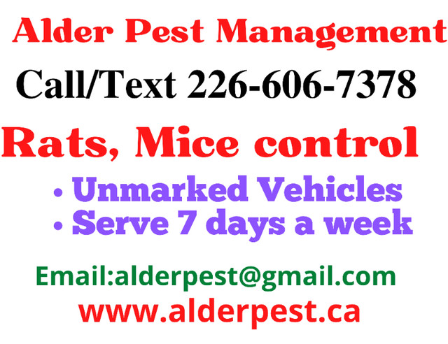 Pest control services Kitchener, Waterloo, Call 226-606-7378 in Other in Kitchener / Waterloo - Image 4
