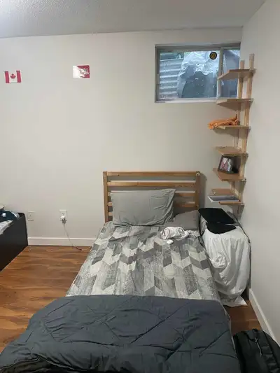 sharing room available for boy