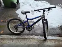20 inch kid bike