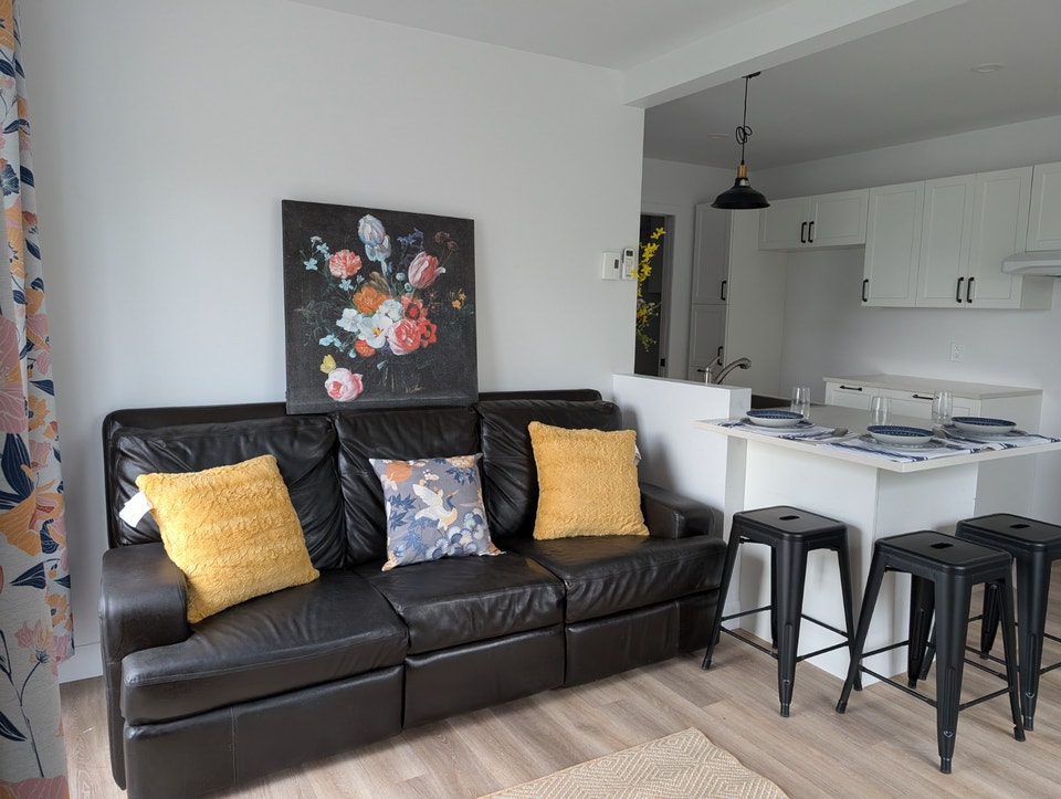 3½ rénové rez-de-chaussée – Chesterville – 840$ 2