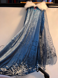 Elsa Frozen Fur Collar Dress 